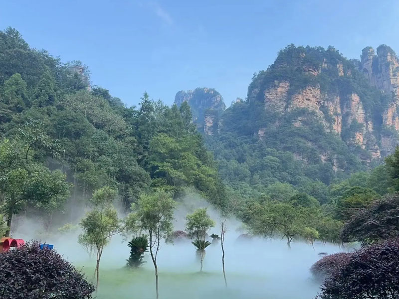 缃戠珯宸茬敤-1.jpg